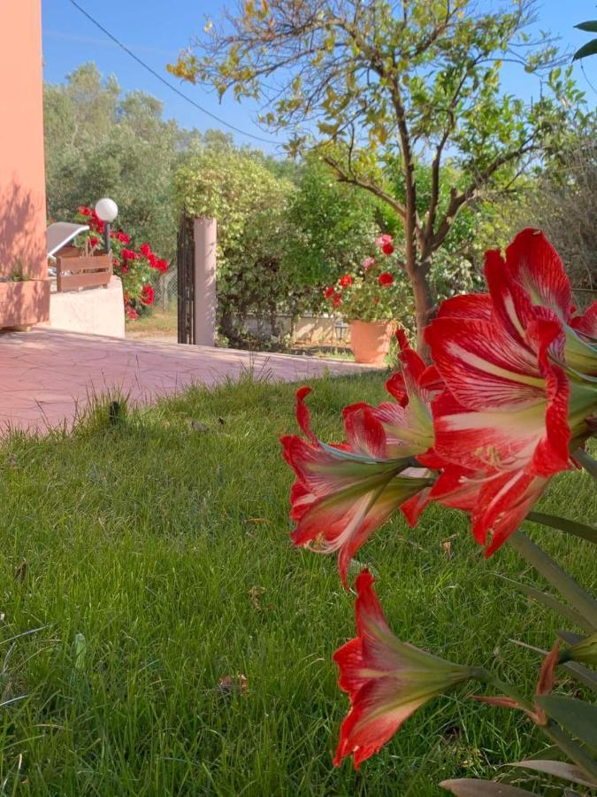 Ey House Villa Halikounas Exterior photo